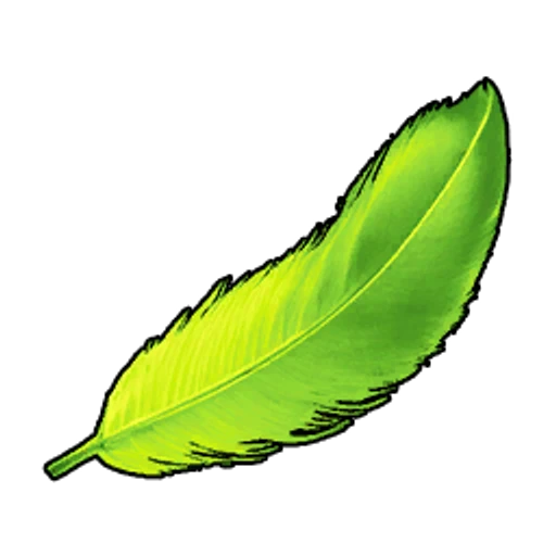 Tocotoco Feather